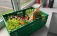 Foodsharing: Das FZN ist dabei!