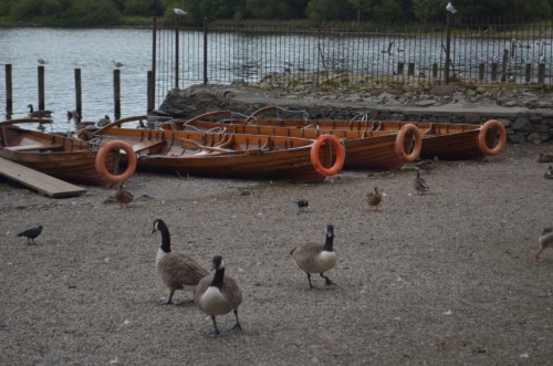 International Youth Camp 2018